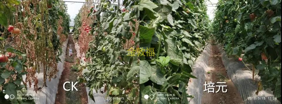 币游·国际(中国区)官方网站