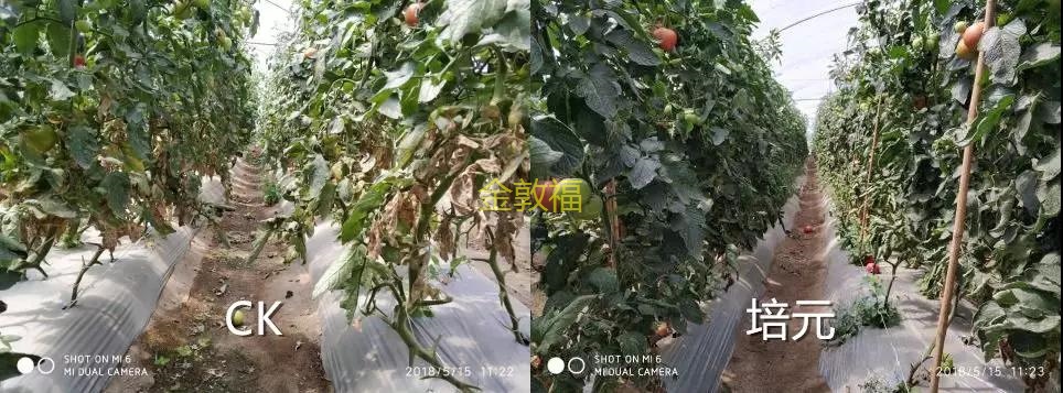 币游·国际(中国区)官方网站