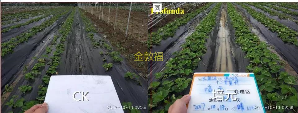 币游·国际(中国区)官方网站