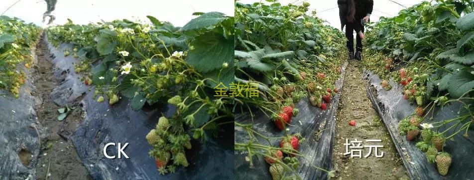 币游·国际(中国区)官方网站