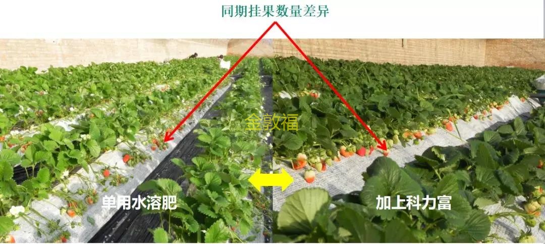 币游·国际(中国区)官方网站