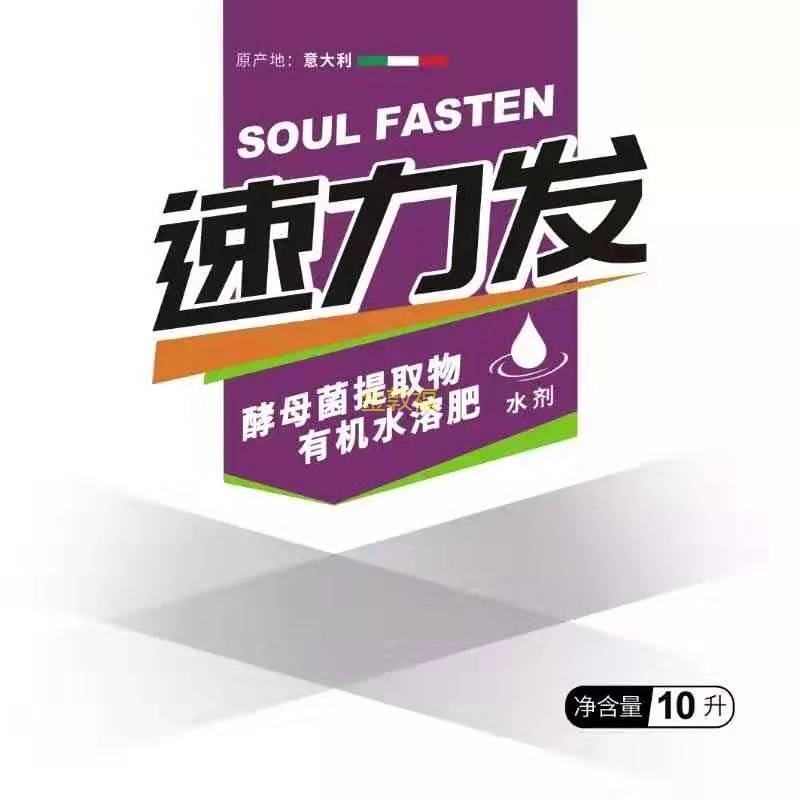 币游·国际(中国区)官方网站