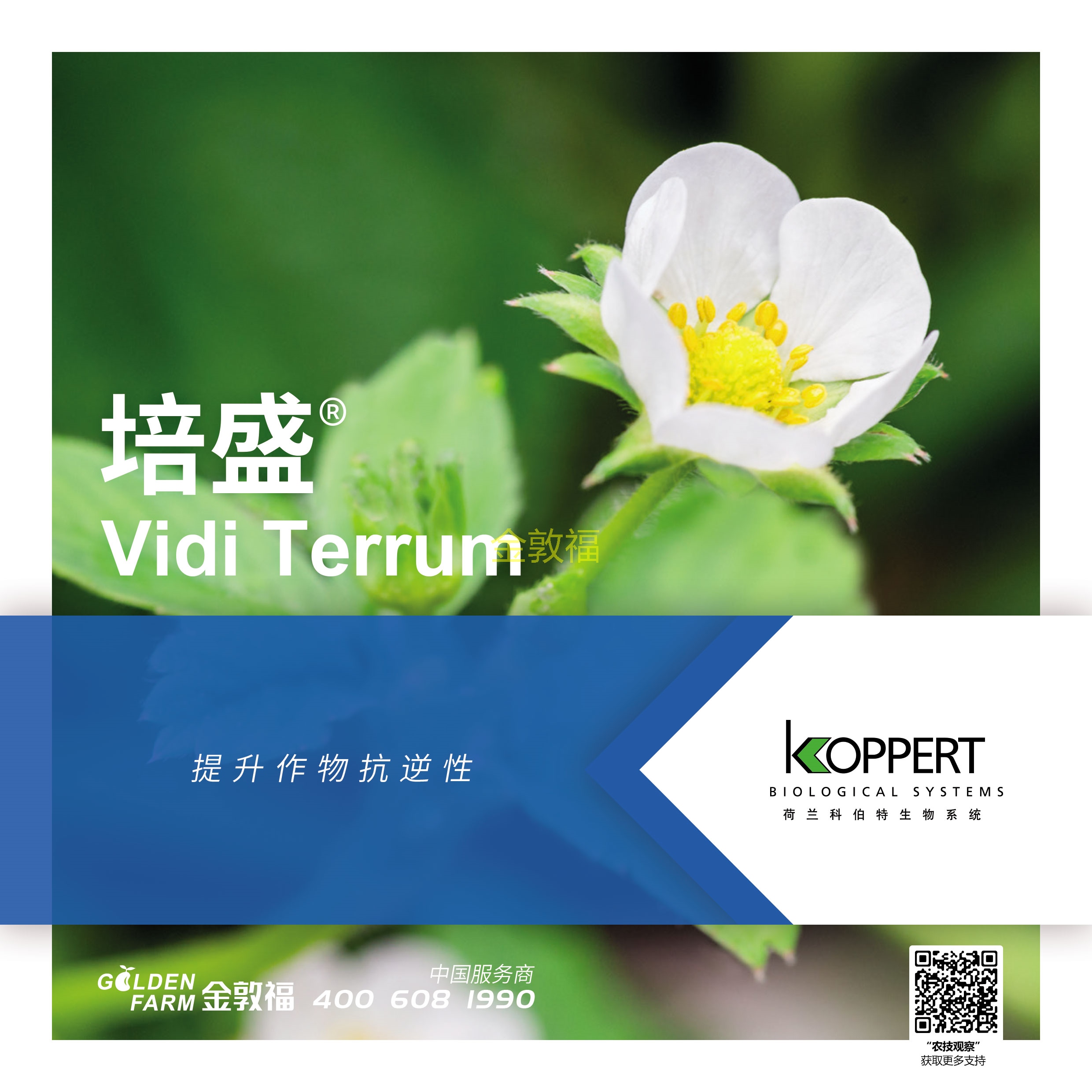 币游·国际(中国区)官方网站