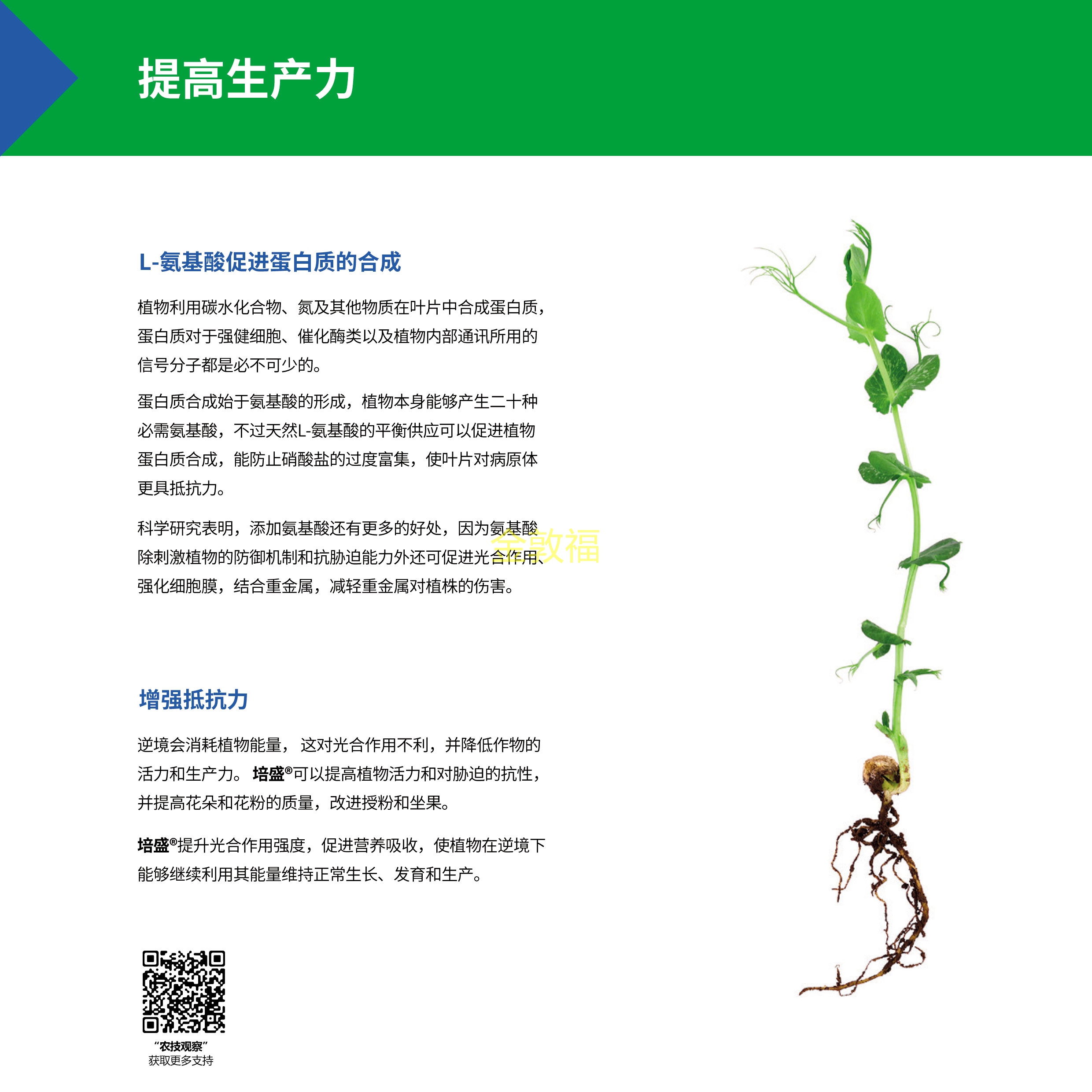 币游·国际(中国区)官方网站