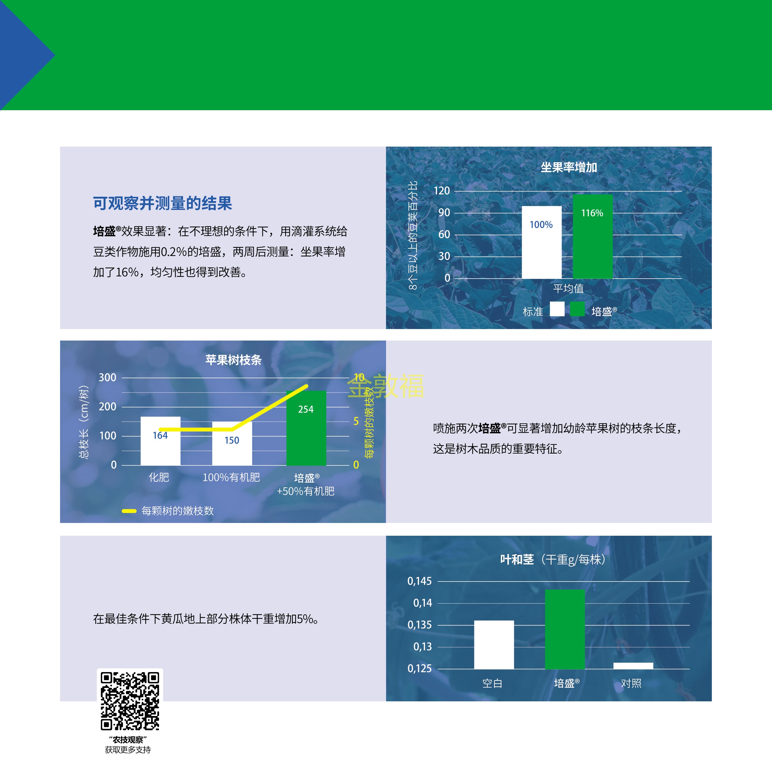 币游·国际(中国区)官方网站