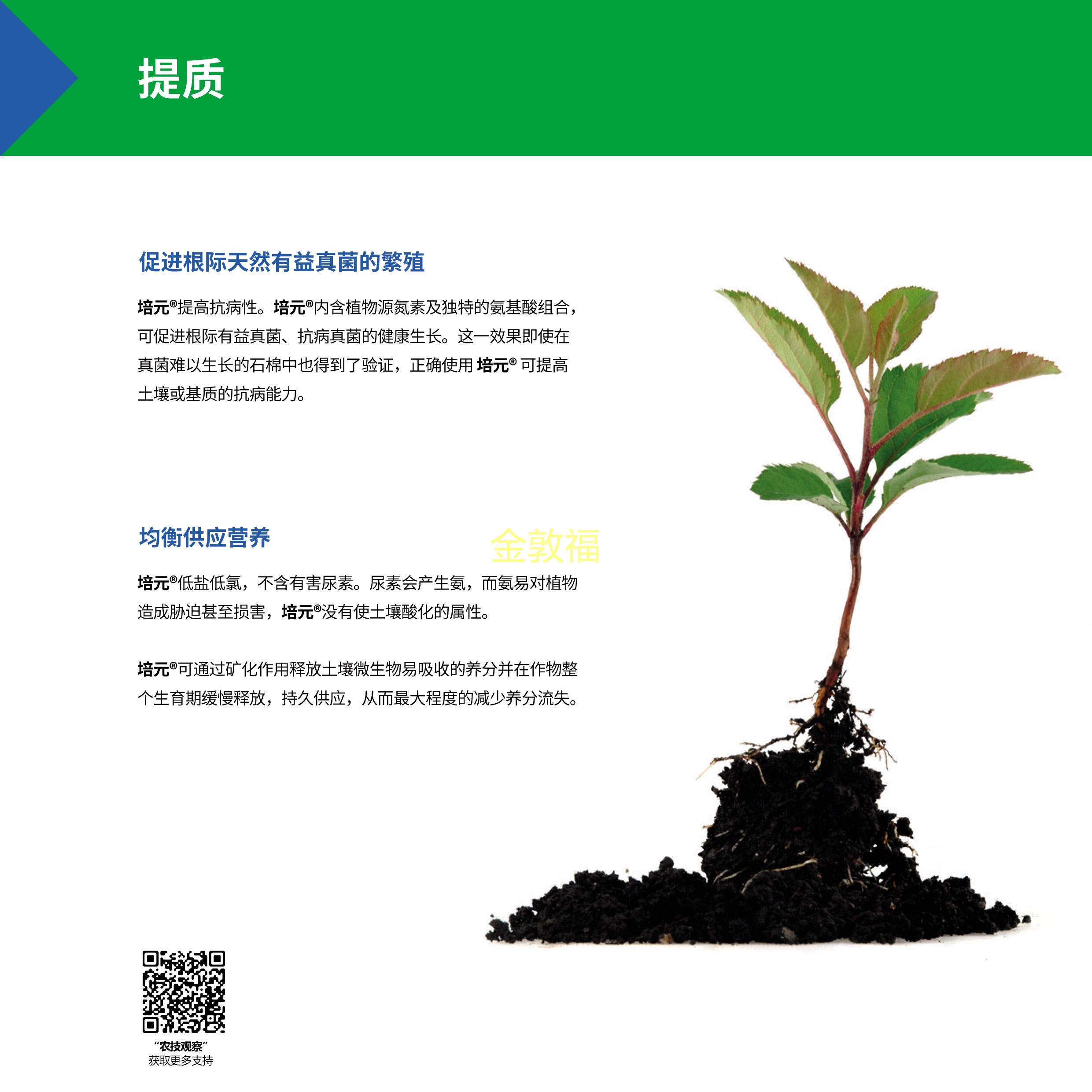 币游·国际(中国区)官方网站