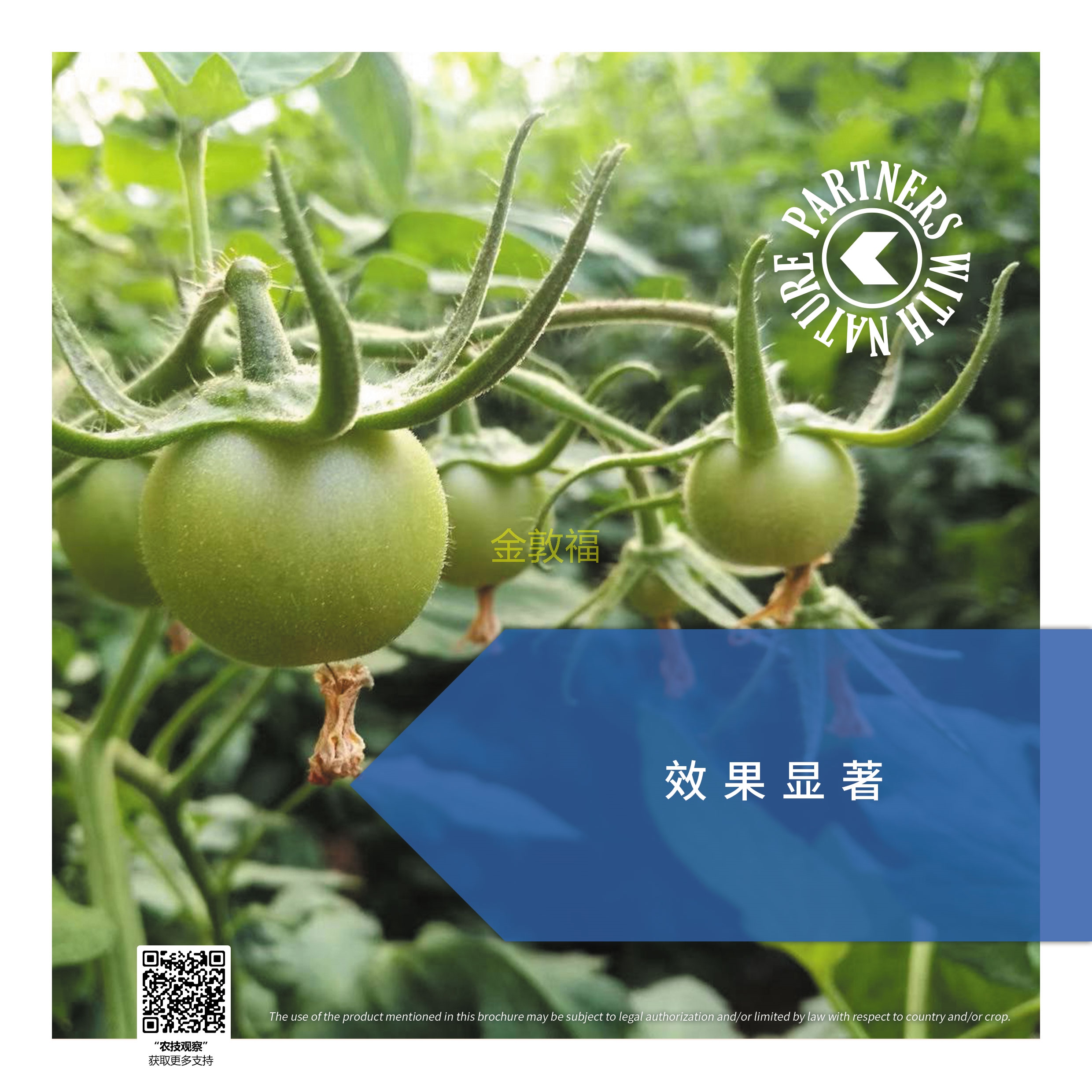 币游·国际(中国区)官方网站