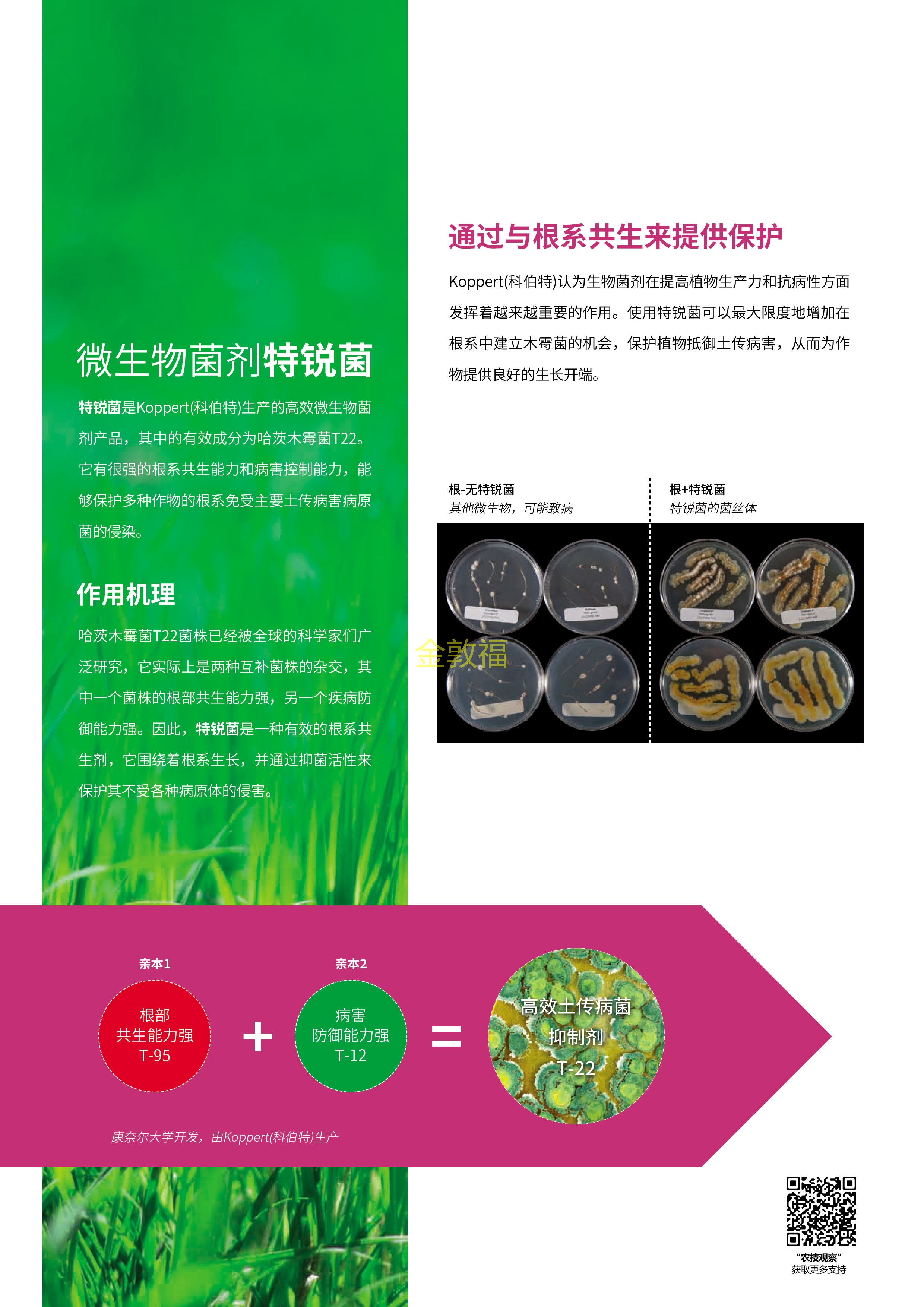 币游·国际(中国区)官方网站