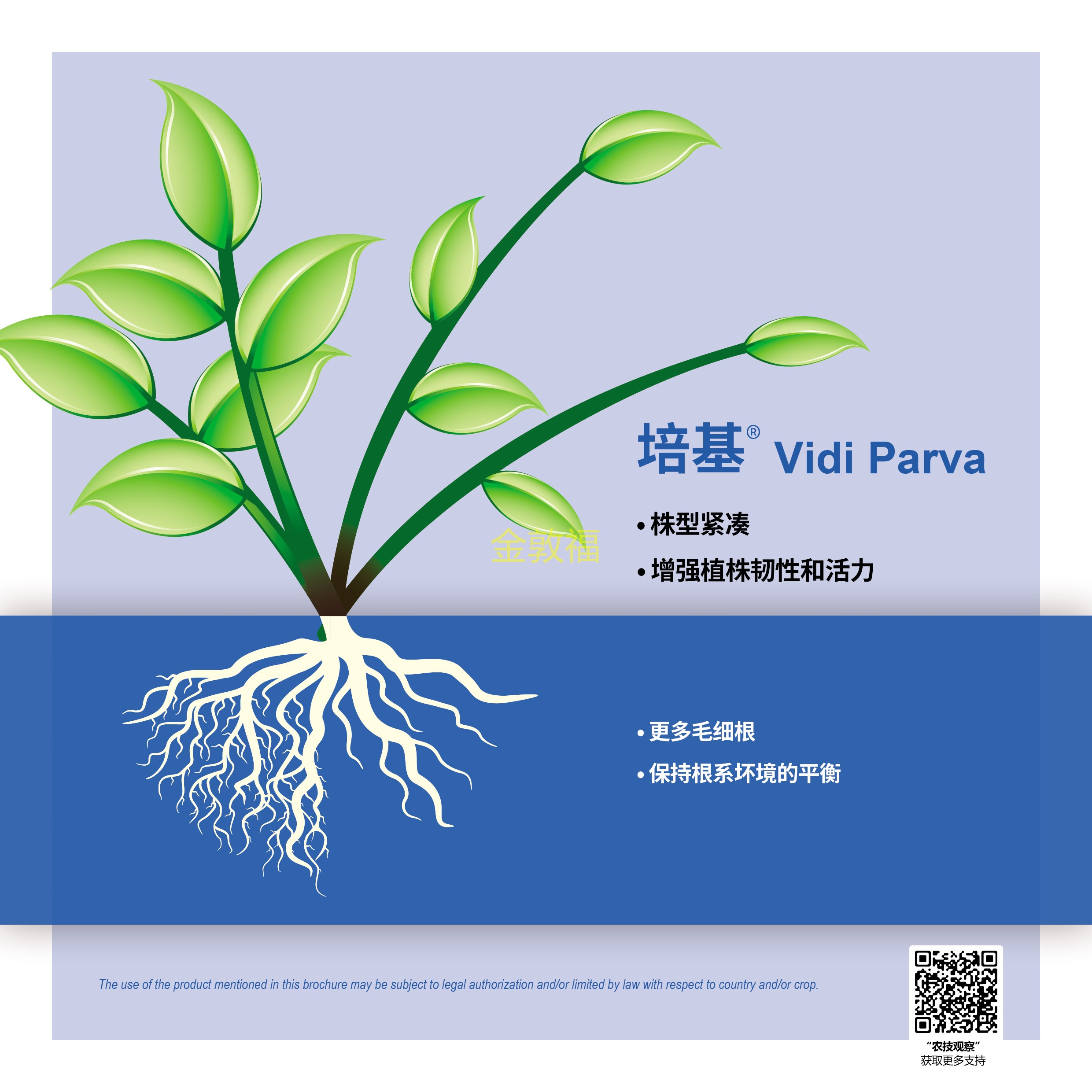 币游·国际(中国区)官方网站