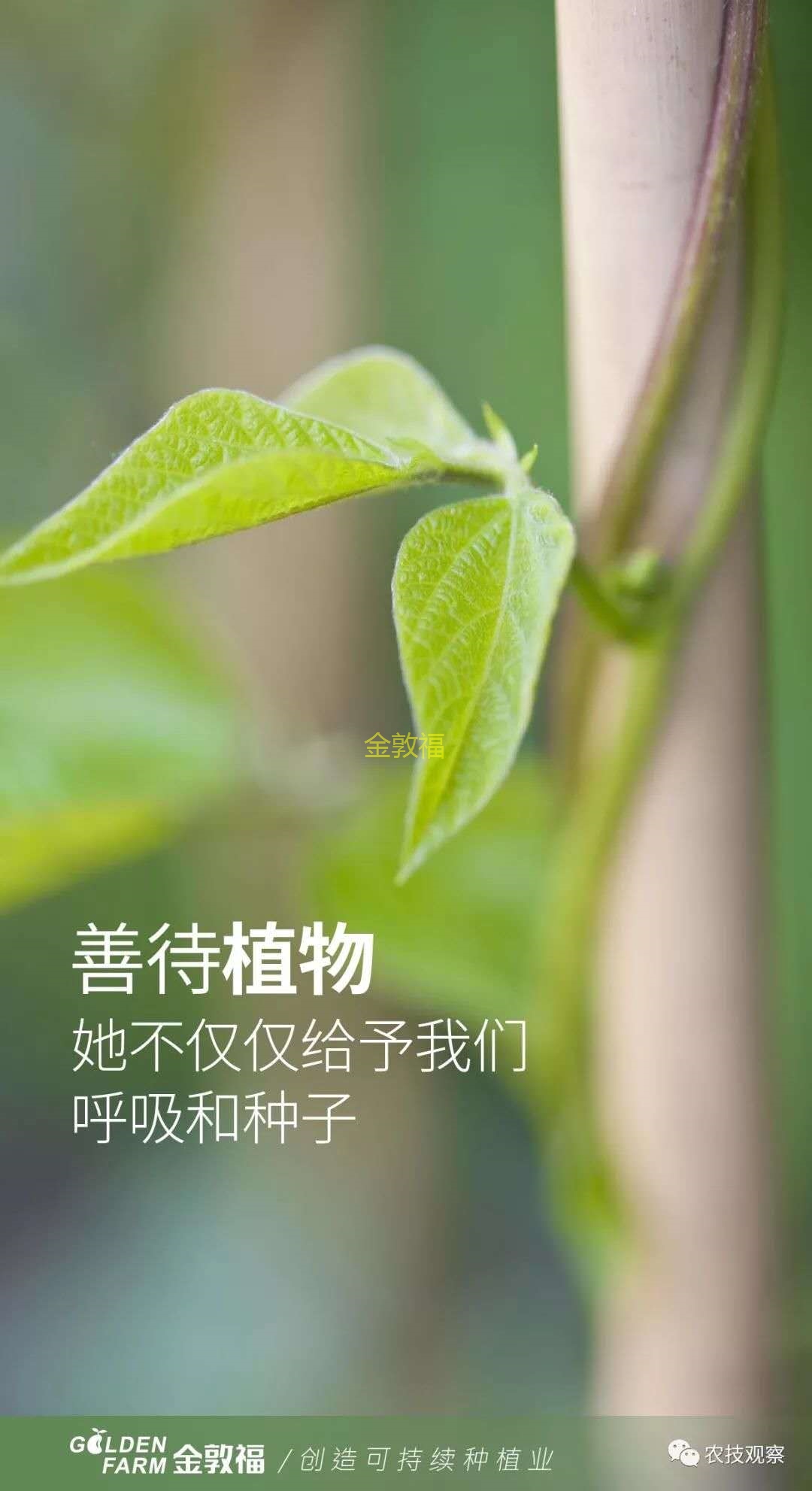 币游·国际(中国区)官方网站