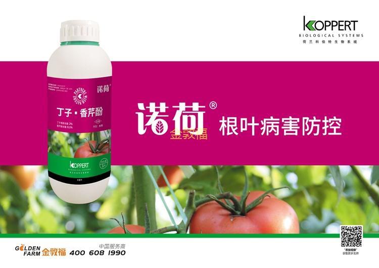币游·国际(中国区)官方网站