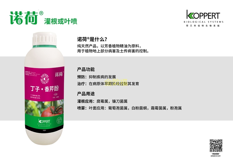 币游·国际(中国区)官方网站