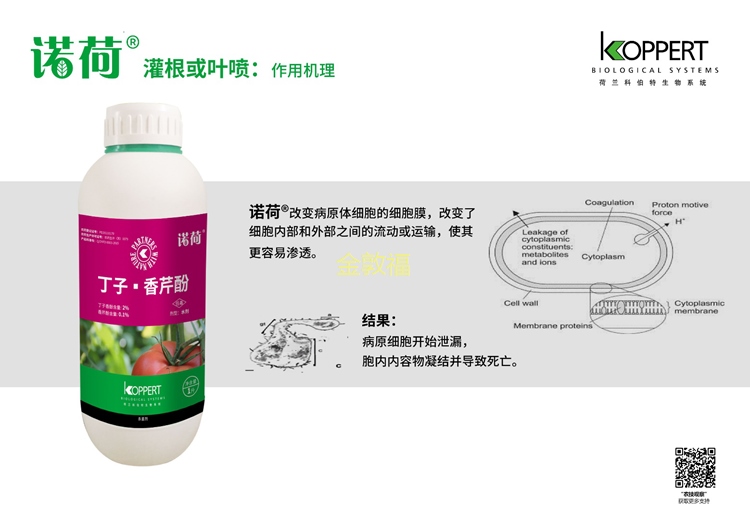 币游·国际(中国区)官方网站