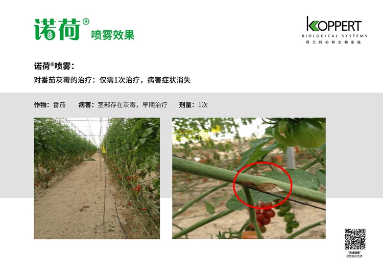 币游·国际(中国区)官方网站