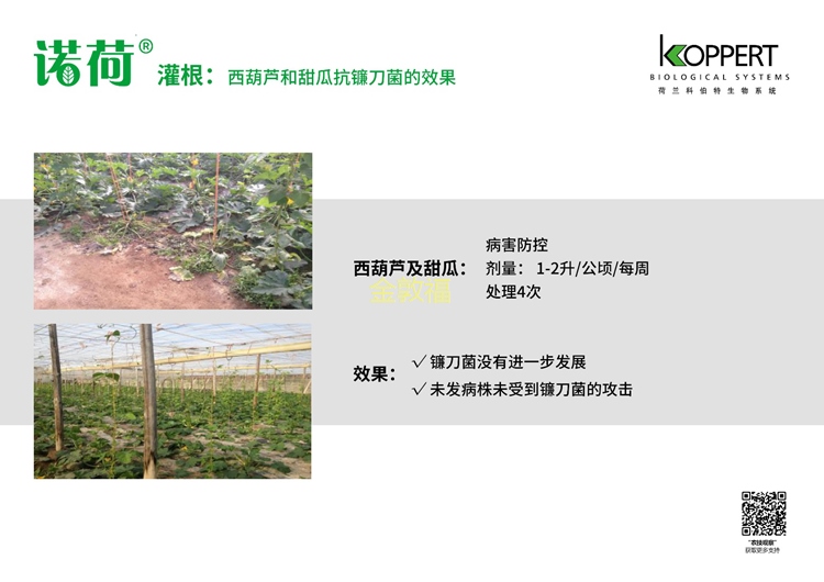 币游·国际(中国区)官方网站