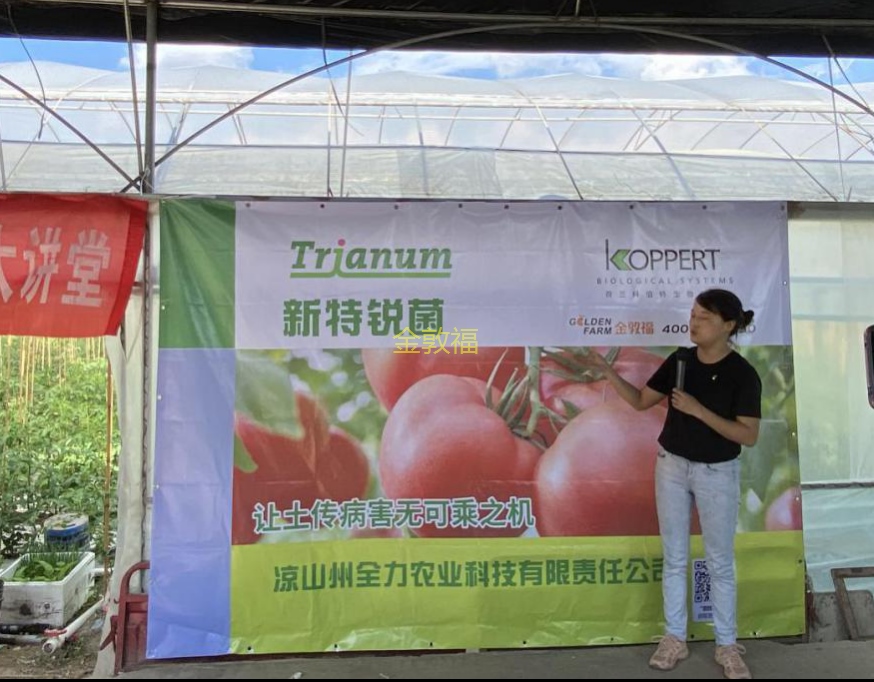 币游·国际(中国区)官方网站