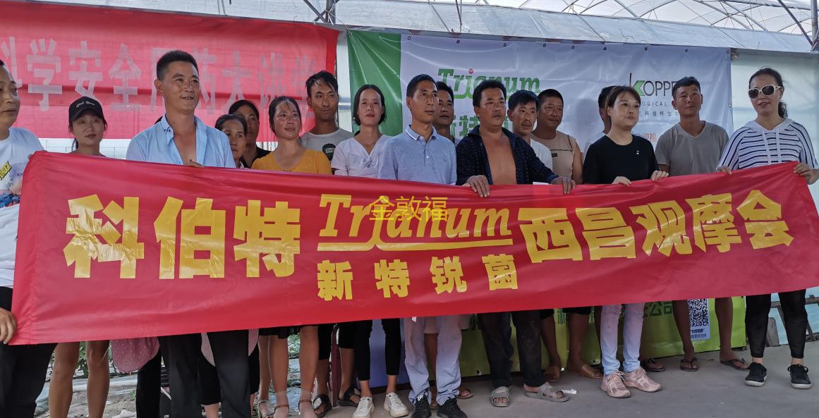 币游·国际(中国区)官方网站