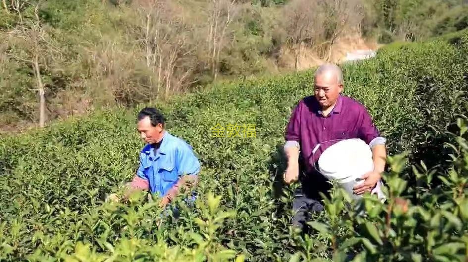 币游·国际(中国区)官方网站