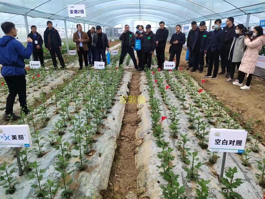 币游·国际(中国区)官方网站