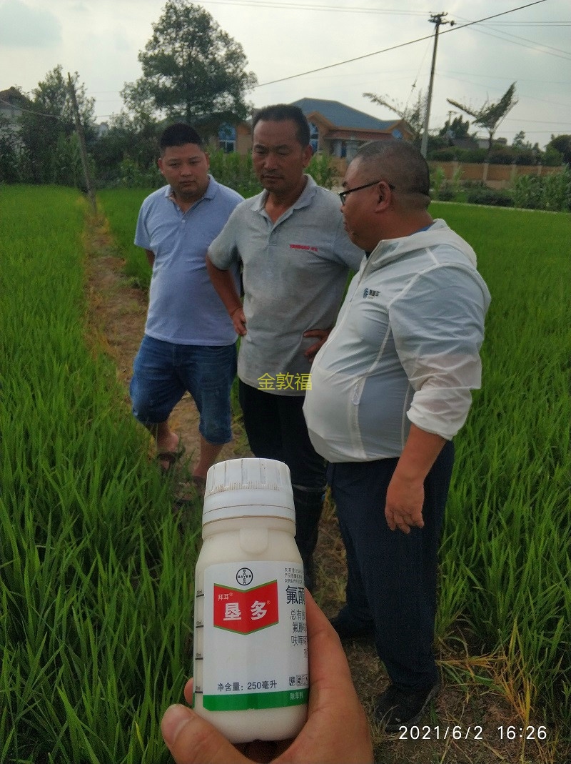 币游·国际(中国区)官方网站
