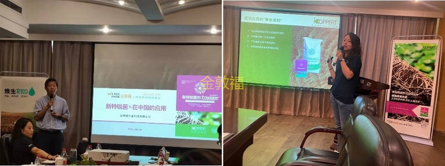 币游·国际(中国区)官方网站