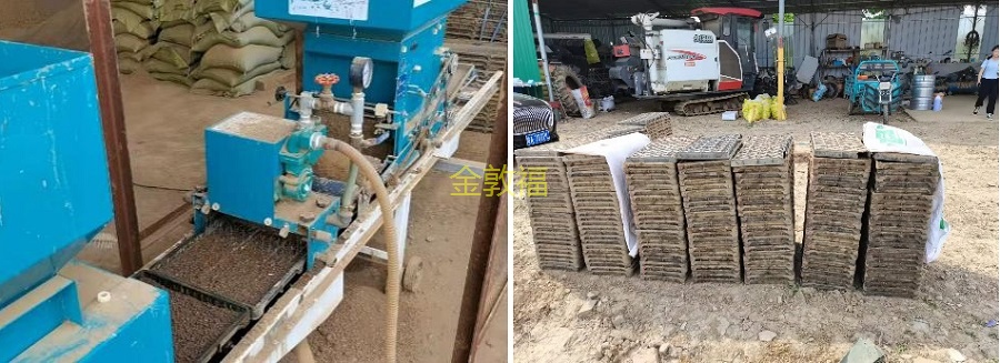 币游·国际(中国区)官方网站