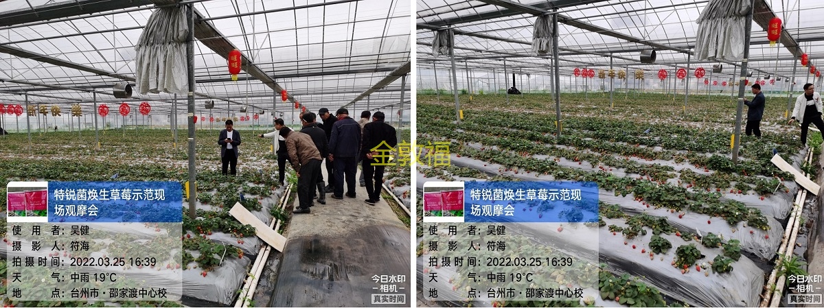 币游·国际(中国区)官方网站