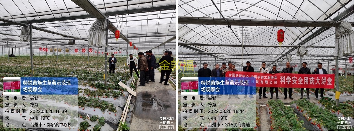 币游·国际(中国区)官方网站