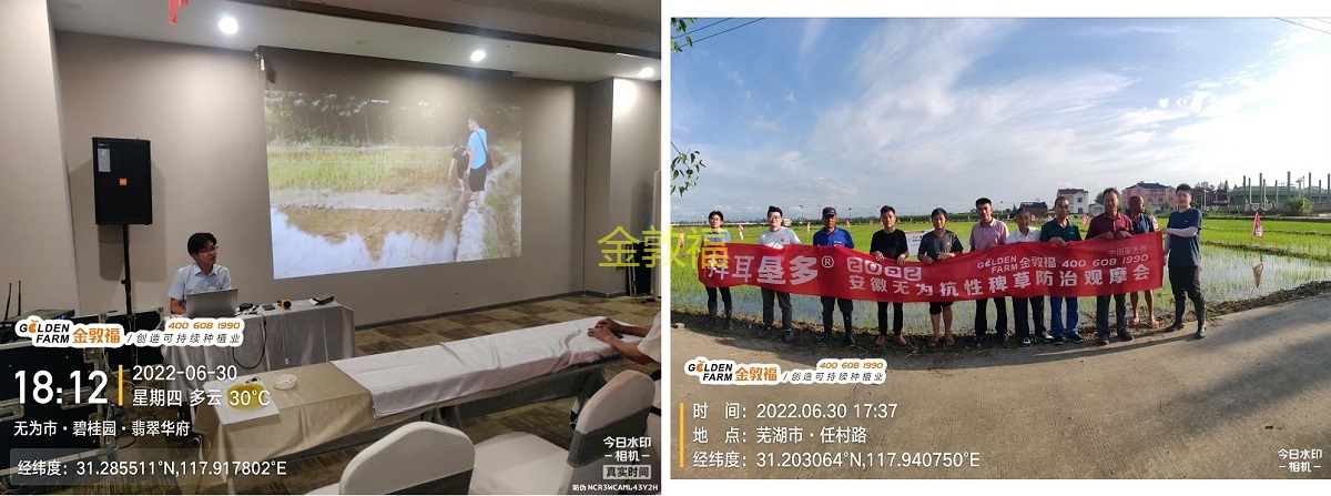 币游·国际(中国区)官方网站