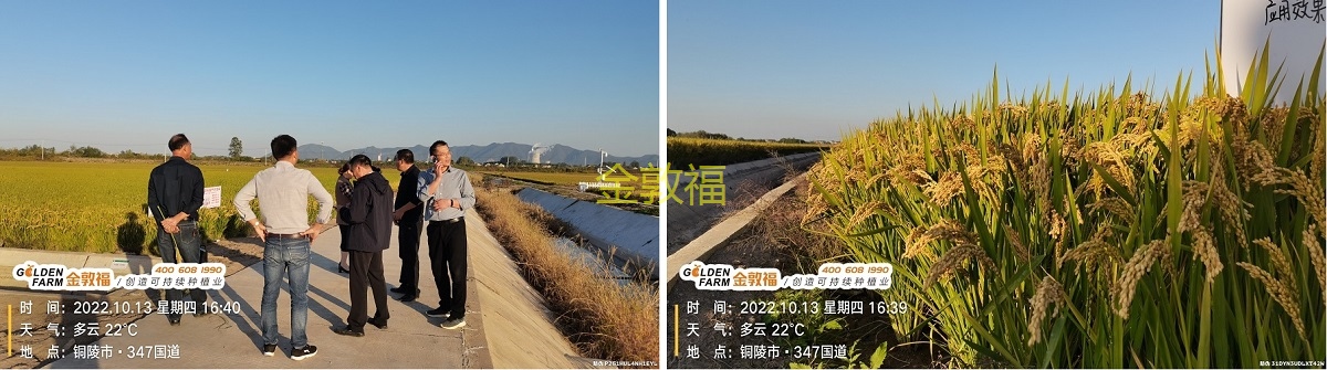 币游·国际(中国区)官方网站