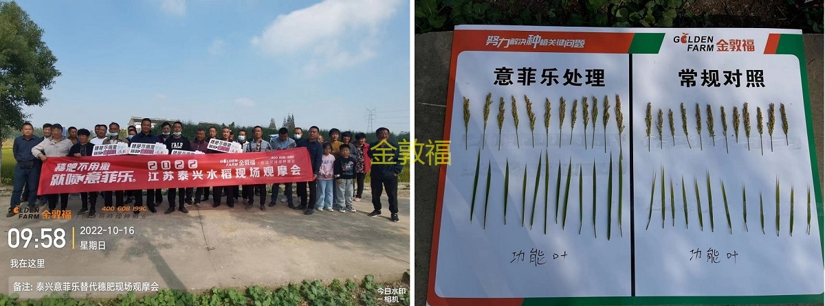 币游·国际(中国区)官方网站