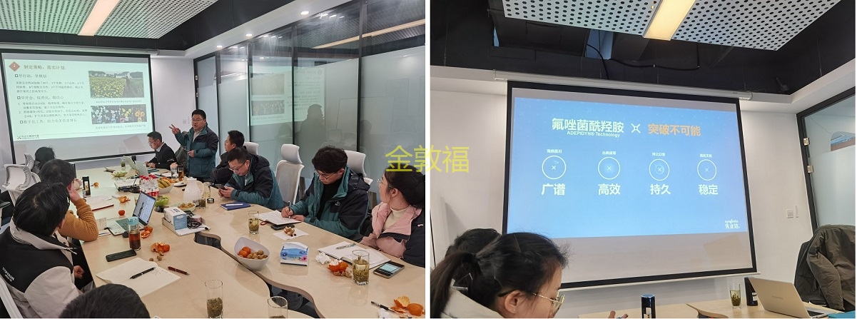 币游·国际(中国区)官方网站