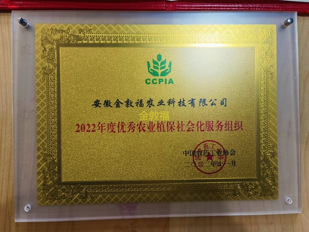 币游·国际(中国区)官方网站
