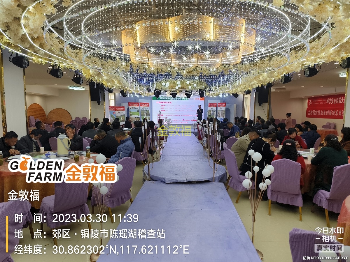 币游·国际(中国区)官方网站