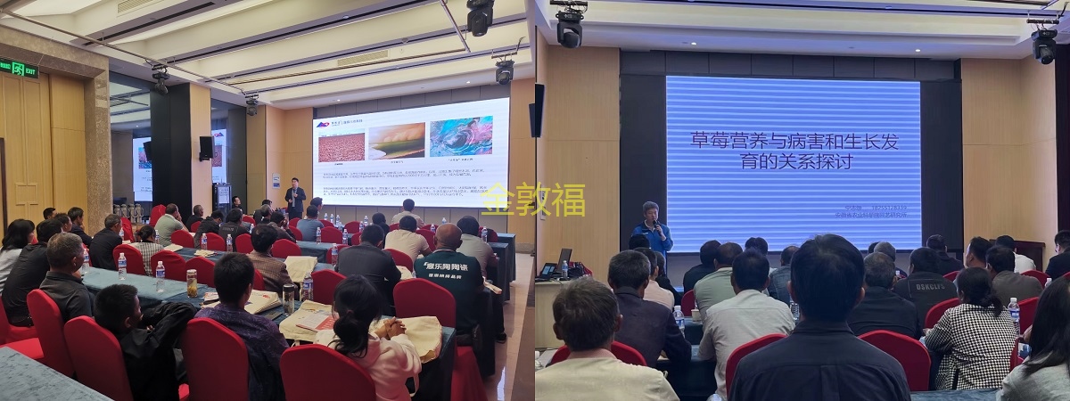 币游·国际(中国区)官方网站