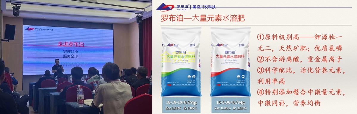 币游·国际(中国区)官方网站
