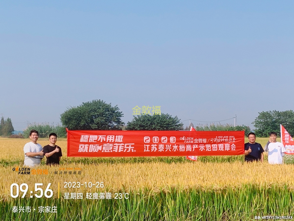 币游·国际(中国区)官方网站