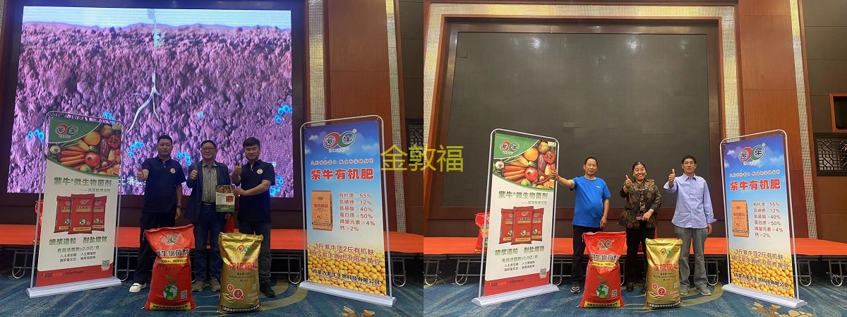 币游·国际(中国区)官方网站