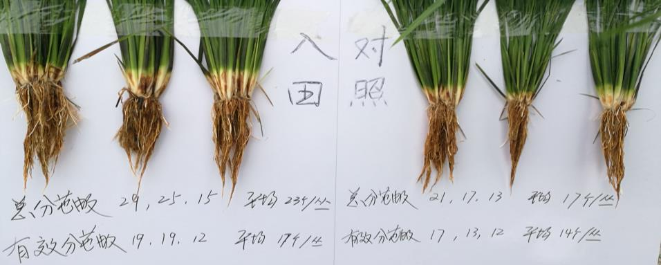 币游·国际(中国区)官方网站