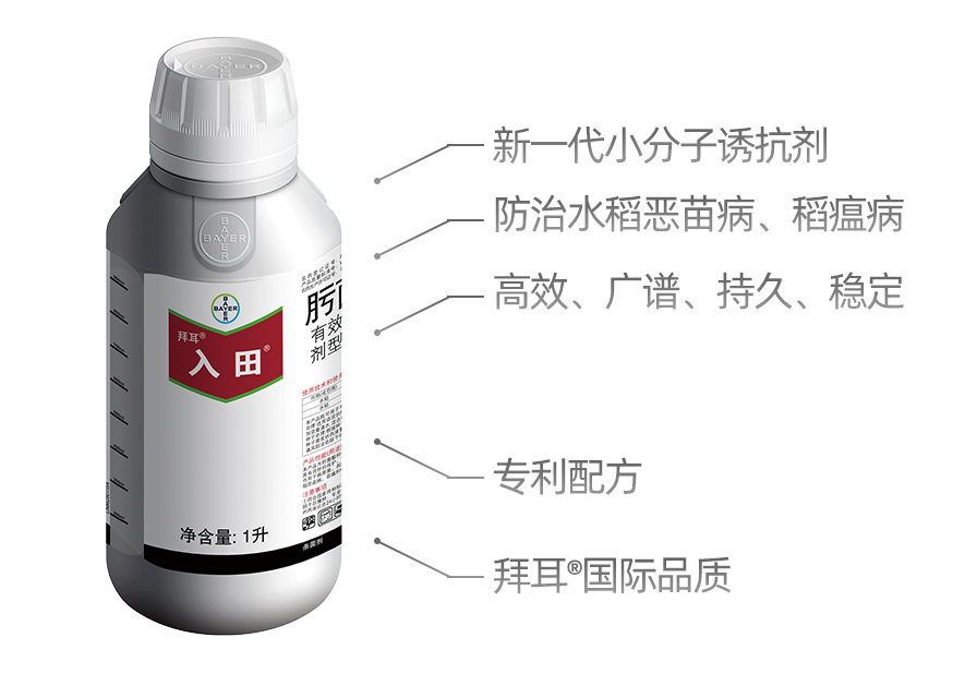 币游·国际(中国区)官方网站