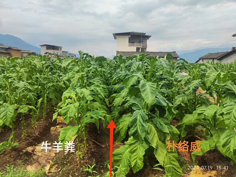 币游·国际(中国区)官方网站
